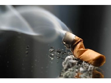 Ngày thế giới không thuốc lá 31 5 2013